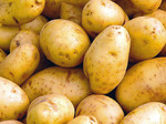 pomme de terre Bintje